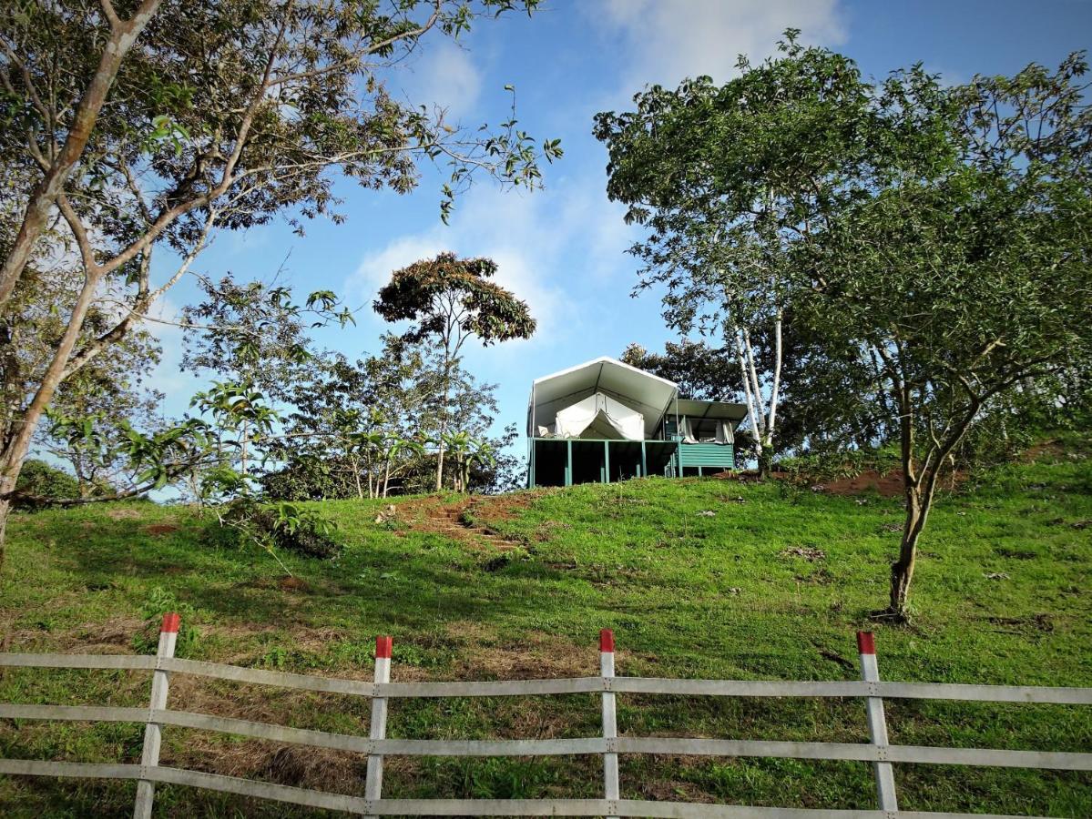 Finca Tres Equis - Farm And Forest Eksteriør billede