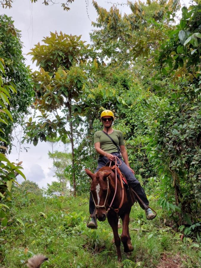 Finca Tres Equis - Farm And Forest Eksteriør billede