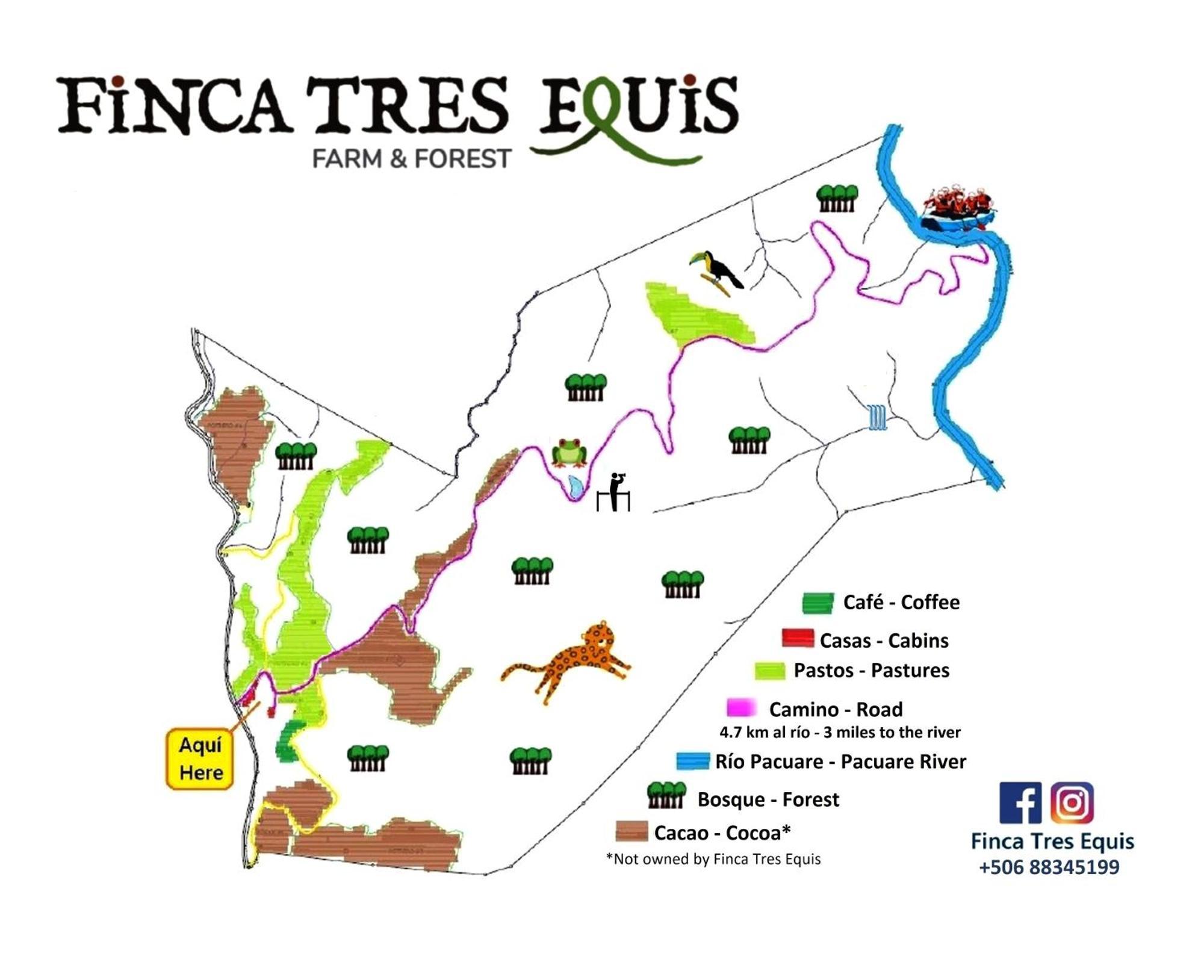 Finca Tres Equis - Farm And Forest Eksteriør billede