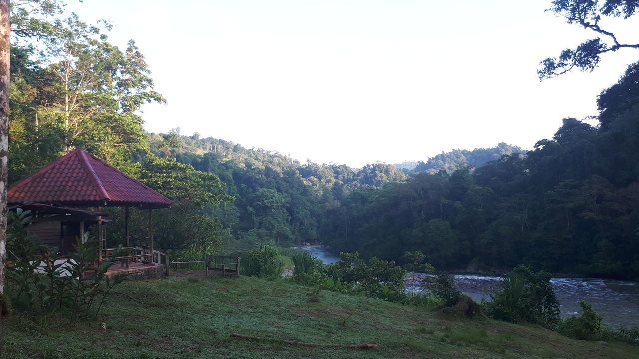 Finca Tres Equis - Farm And Forest Eksteriør billede