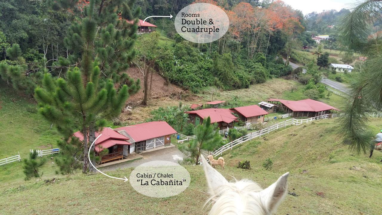 Finca Tres Equis - Farm And Forest Eksteriør billede